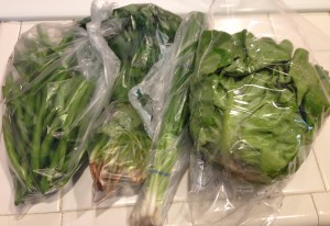 IMG_2627 (2) cropped